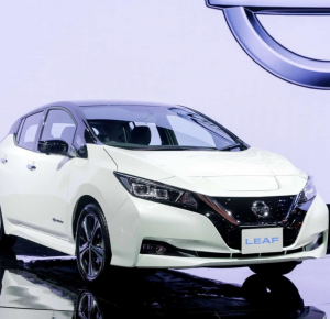 Nissan Leaf Charging Cable